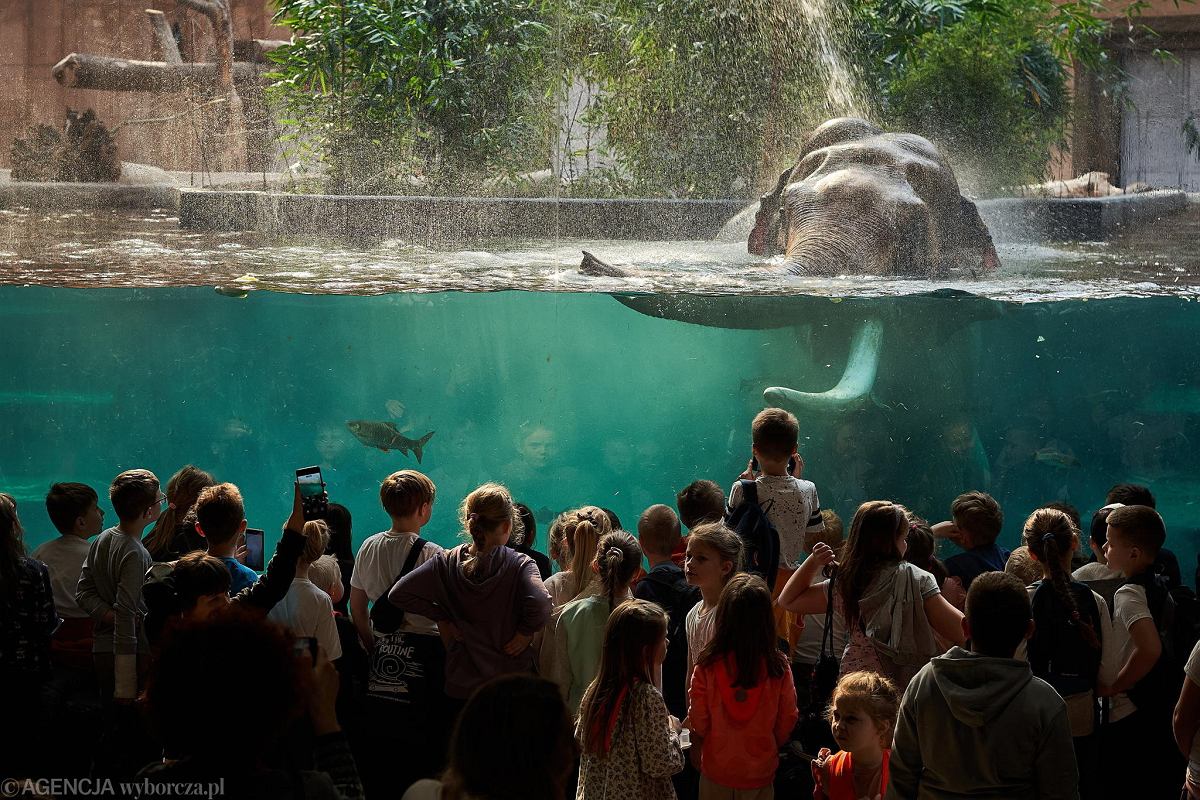 Orientarium ZOO Łódź